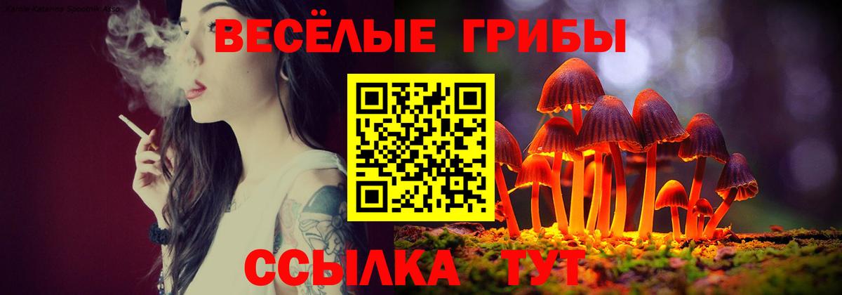 Севастополь  Псилоцибиновые грибы прущие грибы  Вход с VPN 